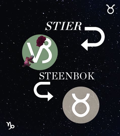 stier en steenbok relatie|De relatie tussen Stier en Steenbok